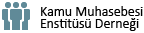 Kamu Muhasebesi Enstitüsü